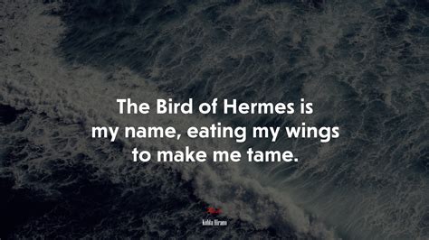 bird of hermes wiki|the bird of hermes is my name eating wings.